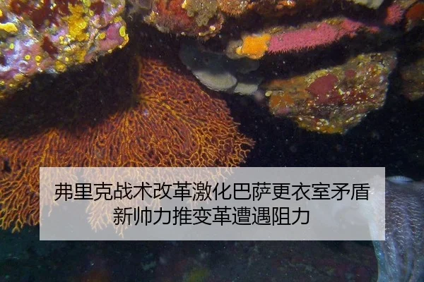 fu-li-ke-zhan-shu-gai-ge-ji-hua-ba-sa-geng-yi-shi-mao-dun-xin-shuai-li-tui-bian-ge-zao-yu-zu-li-2-505.jpg