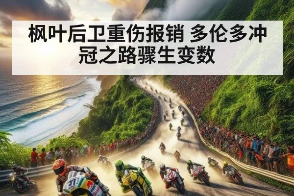 枫叶后卫重伤报销 多伦多冲冠之路骤生变数